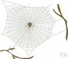 orb web - a circular spider web