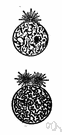 cell nucleus - a part of the cell containing DNA and RNA and responsible for growth and reproduction