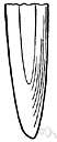 unpointed - not having a point especially a sharp point