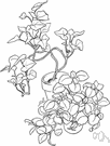plectranthus - any of various ornamental plants of the genus Plectranthus