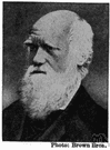 Charles Darwin - English natural scientist who formulated a theory of evolution by natural selection (1809-1882)