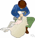 shearing - removing by cutting off or clipping