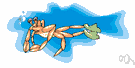 swimming crab - marine crab with some legs flattened and fringed for swimming
