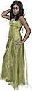 regalia - especially fine or decorative clothing