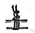 rolling hitch - a hitch for fastening a line to a spar or another rope