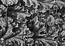 Marchantiaceae - liverworts with prostrate and usually dichotomously branched thalli