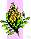 cassia - any of various trees or shrubs of the genus Cassia having pinnately compound leaves and usually yellow flowers followed by long seedpods