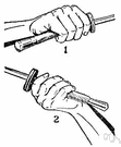 Pronation - rotation of the hands and forearms so that the palms face downward
