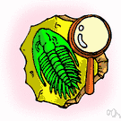 trilobite - an extinct arthropod that was abundant in Paleozoic times