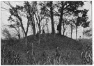 burial mound - (archeology) a heap of earth placed over prehistoric tombs
