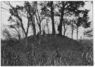 grave mound - (archeology) a heap of earth placed over prehistoric tombs