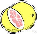 grapefruit - citrus tree bearing large round edible fruit having a thick yellow rind and juicy somewhat acid pulp