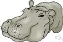 hippopotamus - massive thick-skinned herbivorous animal living in or around rivers of tropical Africa