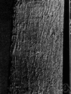 bark - tough protective covering of the woody stems and roots of trees and other woody plants