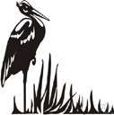 wading bird