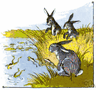 swamp rabbit - a wood rabbit of marshy coastal areas from North Carolina to Florida