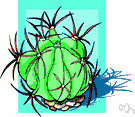 Ferocactus - genus of nearly globular cacti of Mexico and southwestern United States: barrel cacti