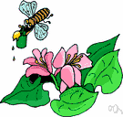 pollenation - transfer of pollen from the anther to the stigma of a plant