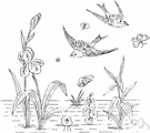 swamp plant - a semiaquatic plant that grows in soft wet land