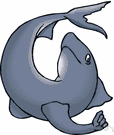 heterocercal fin - a tail fin with unequal lobes in which the vertebral column turns upward into the larger lobe as in sharks