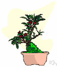 crab apple - any of numerous varieties of crab apples cultivated for their small acidic (usually bright red) fruit used for preserves or as ornamentals for their blossoms