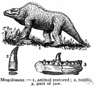 megalosaur - gigantic carnivorous bipedal dinosaur of the Jurassic or early Cretaceous in Europe