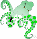 octopod - a cephalopod with eight arms but lacking an internal shell