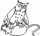 screech owl - any owl that has a screeching cry