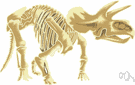 family Uintatheriidae - an extinct family of Dinocerata