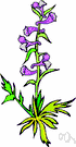 larkspur - any of numerous cultivated plants of the genus Delphinium