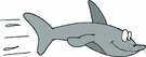 mako shark - powerful mackerel shark of the Atlantic and Pacific