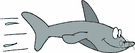 mako - powerful mackerel shark of the Atlantic and Pacific