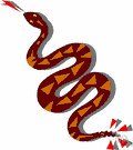 snake venom - venom secreted by certain snakes