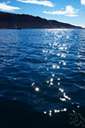 glittering - having brief brilliant points or flashes of light