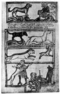 bestiary - a medieval book (usually illustrated) with allegorical and amusing descriptions of real and fabled animals