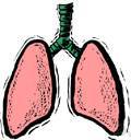 black lung disease