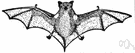 brown bat - any of numerous medium to small insectivorous bats found worldwide in caves and trees and buildings