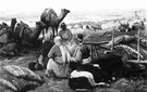 Saami - the language of nomadic Lapps in northern Scandinavia and the Kola Peninsula