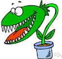 Venus's flytrap