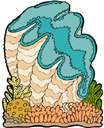giant clam