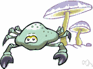 saprophytic organism - an organism that feeds on dead organic matter especially a fungus or bacterium