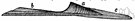 Phragmocone - the thin conical chambered internal shell (either straight or curved) of a belemnite
