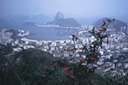 urban sprawl - an aggregation or continuous network of urban communities