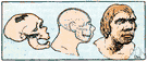 Neandertal man - extinct robust human of Middle Paleolithic in Europe and western Asia
