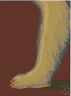 animal leg - the leg of an animal