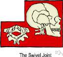 ball-and-socket joint