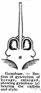 Gynobase - the enlarged receptacle in which the pistil is borne