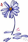 blue daisy - hairy South African or Australian subshrub that has daisylike flowers with blue rays
