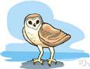 Tyto