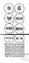 asexually - in an asexual manner